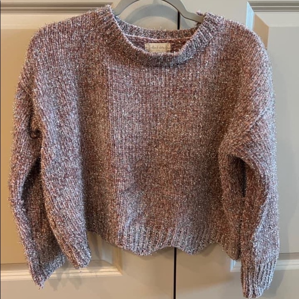 Altard State Mauve Glitter Sweater Sz.S